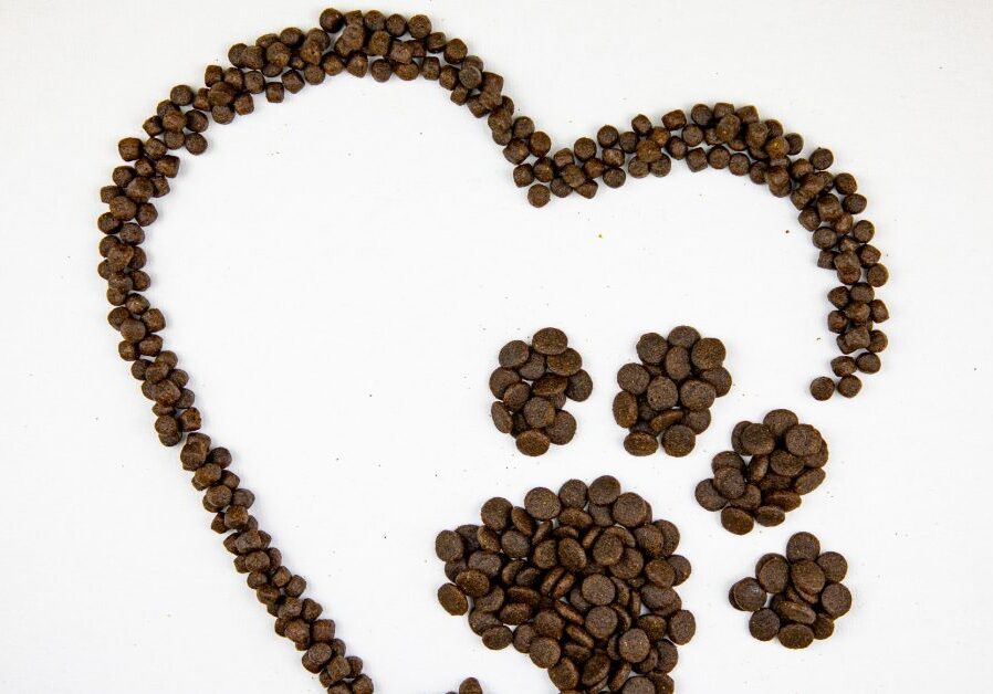 dry dog kibble arranged in a heart with a dog's paw inside
